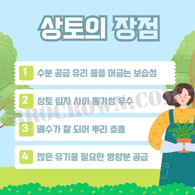 상토 배양토 차이, 원예용 상토 지속기간 장단점 - 도시농부