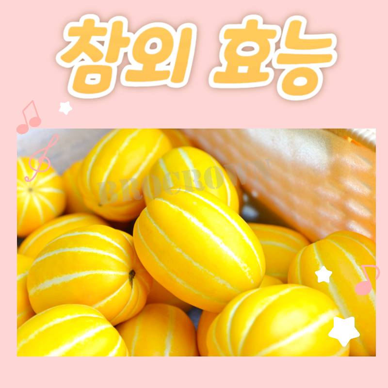 참외 효능 칼로리 부작용, 건강한 여름 과일 - 도시농부