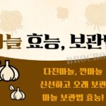 마늘 보관법