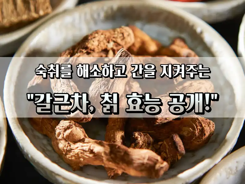 칡 효능! 숙취 없애고 간을 살리는 갈근차 갈근탕 - 도시농부
