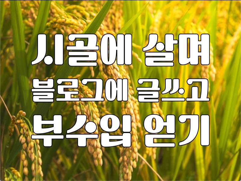 시골 블로그 운영 수입 시골 블로그 운영 수입