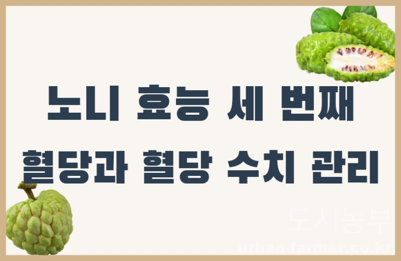 노니 효능04 노니 효능