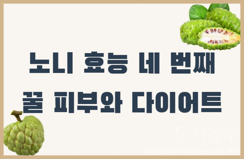 노니 효능05 노니 효능