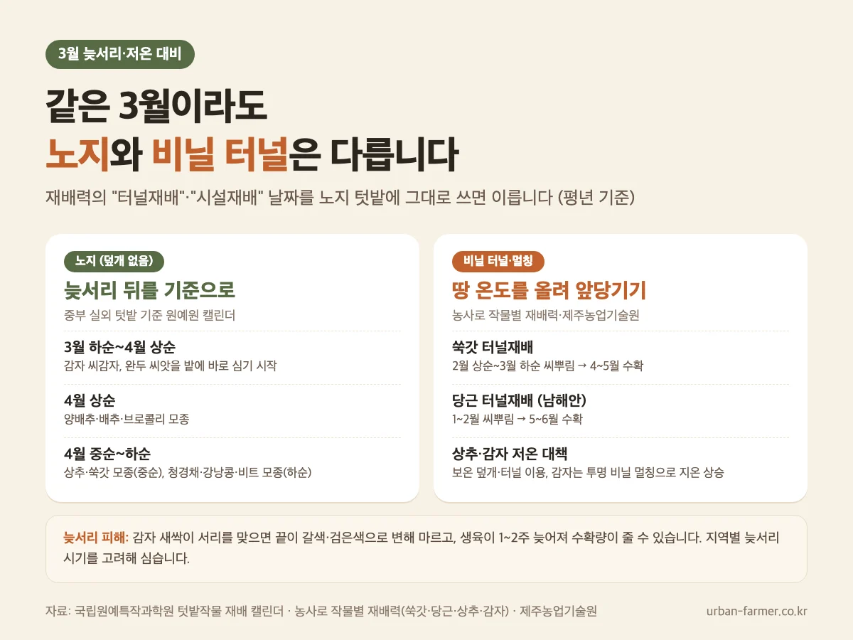 노지와 비닐 터널 비교 3월 늦서리 대비 노지와 비닐 터널 멀칭 재배 시기 비교, 감자 새싹 서리 피해