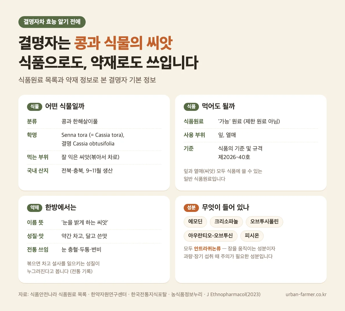 결명자차 효능 알기 전 결명자 기본 정보 - 콩과 씨앗, 식품원료 사용 가능, 안트라퀴논류 성분