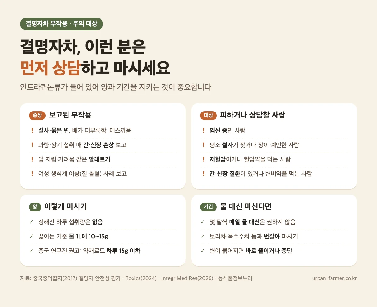 결명자차 부작용과 주의 대상 - 설사, 임신 중, 저혈압, 간·신장 질환, 물대신 마실 때