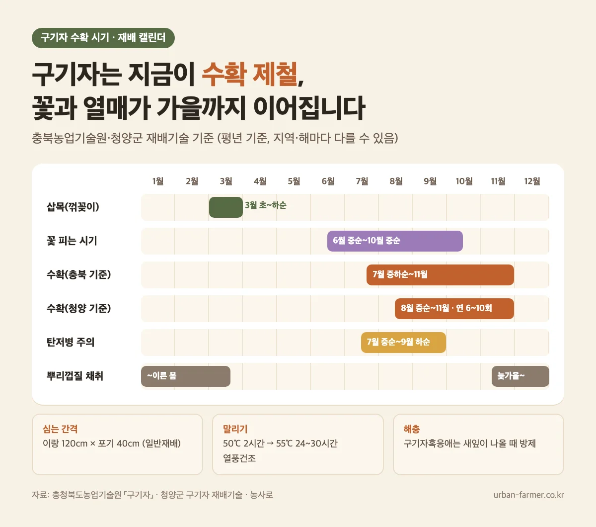 구기자 수확 시기 재배 캘린더 - 삽목 3월, 개화 6~10월, 수확 7월 중하순~11월