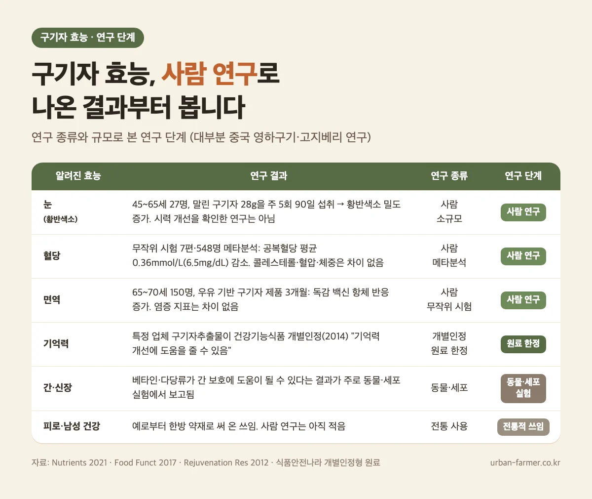 구기자 효능 연구 근거 수준 - 눈 황반색소, 혈당, 면역, 기억력, 간·신장 연구 종류 비교