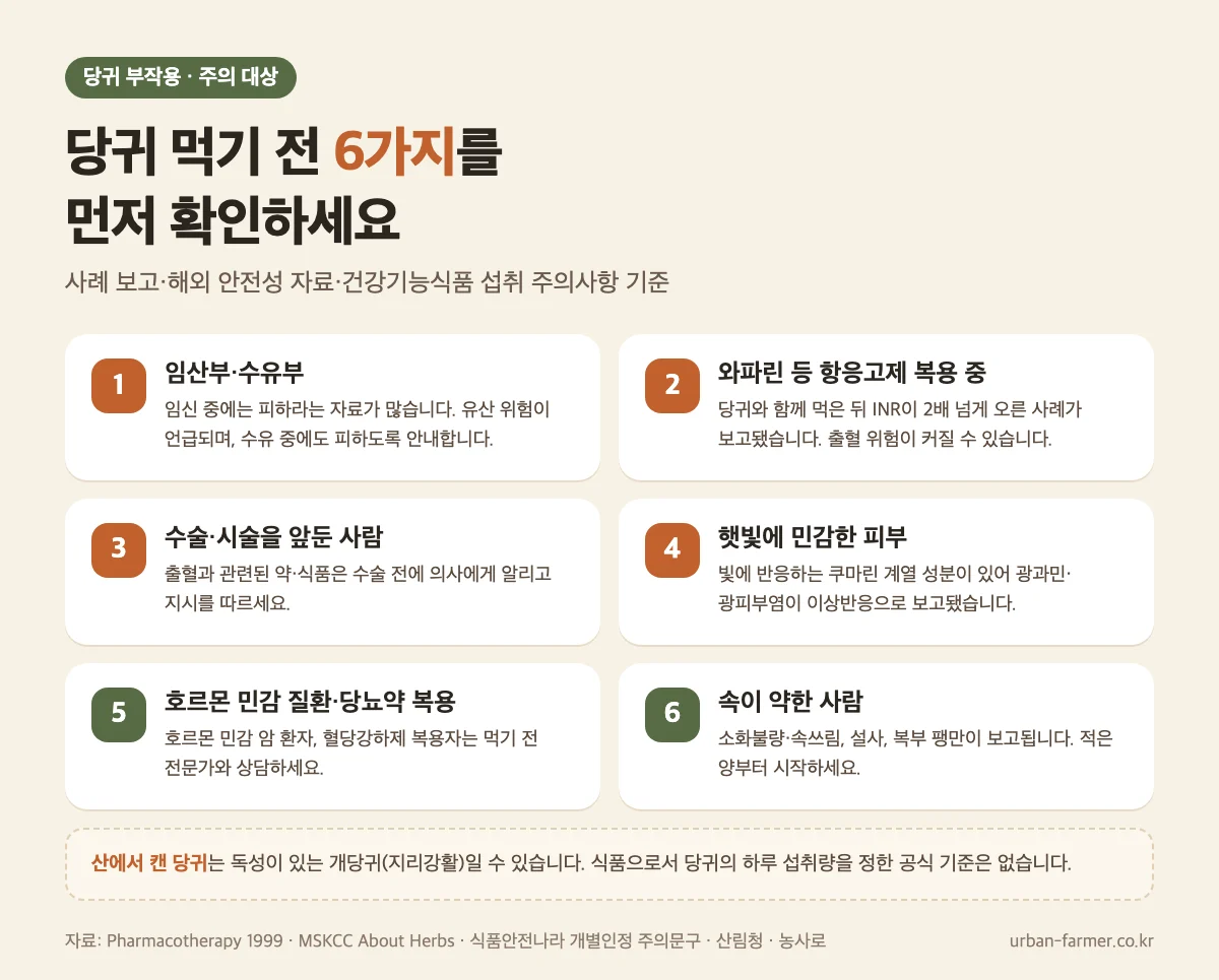당귀 부작용과 주의 대상 - 임산부, 와파린 항응고제, 광과민, 개당귀 혼동