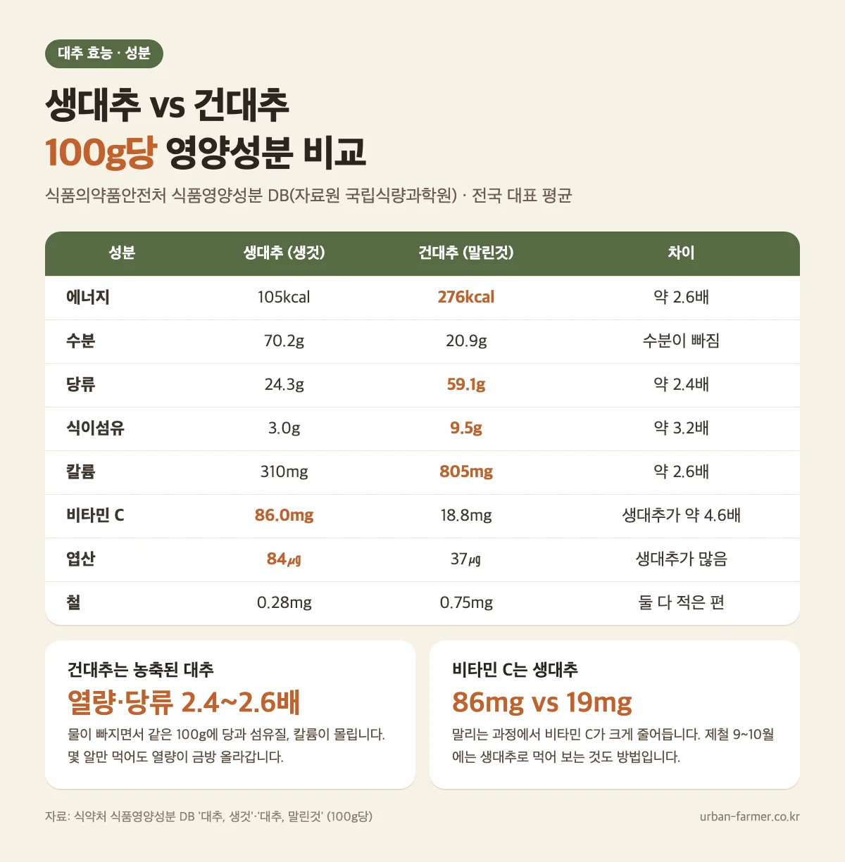 대추 효능 성분 - 생대추와 건대추 100g당 열량·당류·식이섬유·칼륨·비타민 C 비교