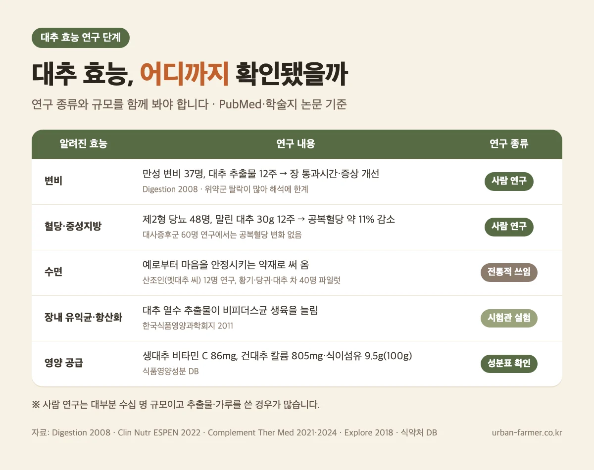 대추 효능 연구 근거 수준 - 변비·혈당은 소규모 사람 연구, 수면은 예로부터 전해진 전통적 쓰임