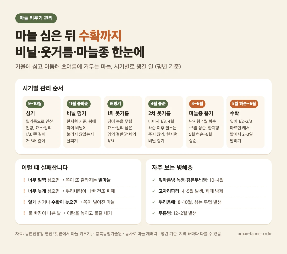 마늘 시기별 관리 마늘 키우기 시기별 관리 - 비닐 덮기, 웃거름, 마늘종 뽑기, 수확 시기와 병해충