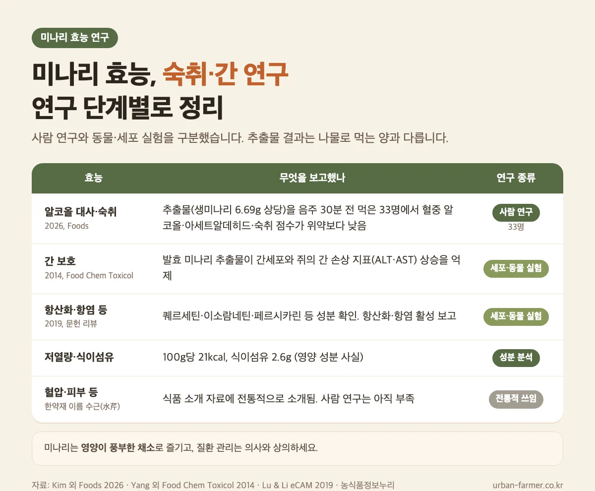 미나리 효능 연구 근거 수준 미나리 효능 연구 단계 - 숙취는 사람 연구, 간 보호·항산화는 세포·동물 실험