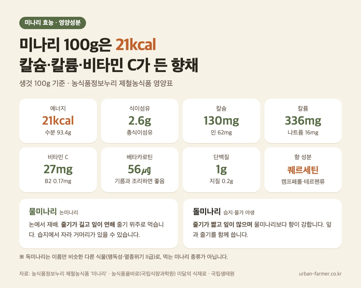 미나리 100g 영양성분 미나리 효능 영양성분 - 생것 100g당 21kcal, 칼슘 130mg, 칼륨 336mg, 비타민 C 27mg, 물미나리와 돌미나리 차이