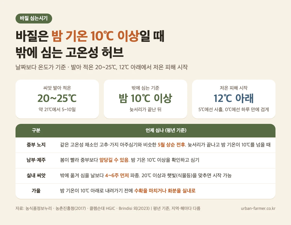바질 심는시기 온도 기준 - 발아 적온 20~25℃, 밤 기온 10℃ 이상일 때 노지에 심기, 12℃ 아래 저온 피해