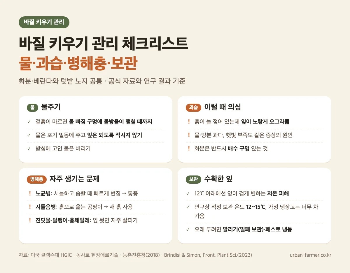 바질 키우기 관리 체크리스트 - 물주기, 과습, 노균병·진딧물 병해충, 수확한 잎 보관