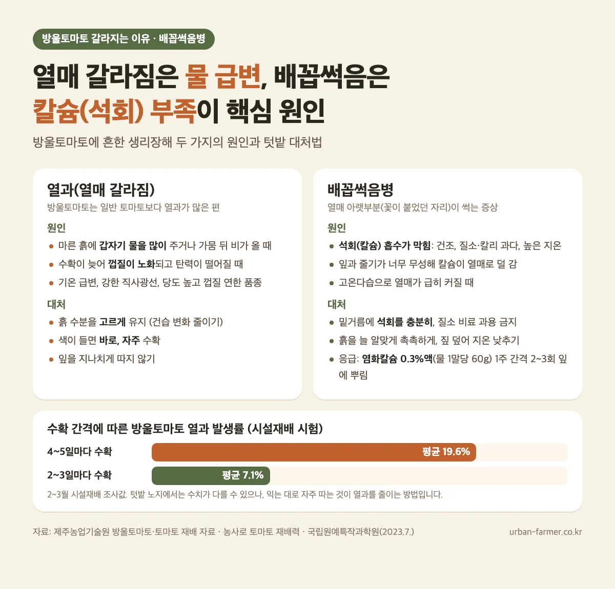 방울토마토 열과와 배꼽썩음병 방울토마토 갈라지는 이유와 배꼽썩음병 원인·대처, 수확 간격별 열과 발생률