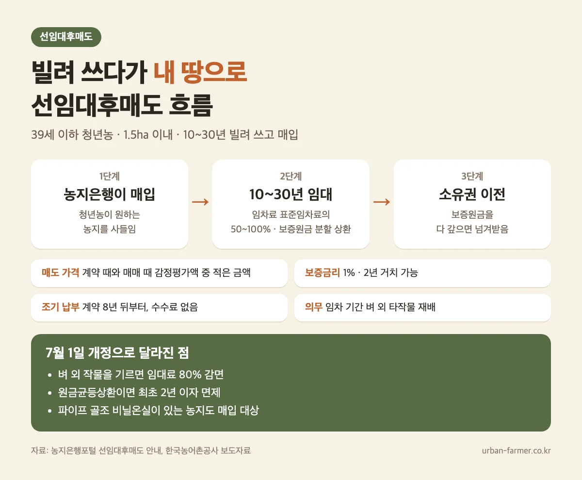 선임대후매도 사업 흐름 — 매입, 10~30년 임대, 소유권 이전