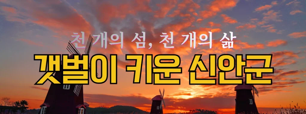 신안군