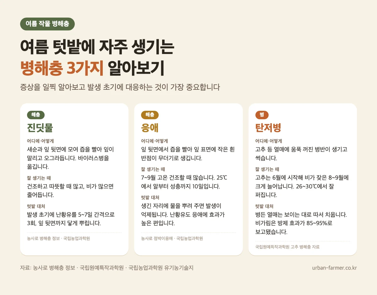 여름 작물 병해충 3가지 여름 작물 병해충 진딧물 응애 탄저병 증상과 발생 시기, 텃밭 대처법