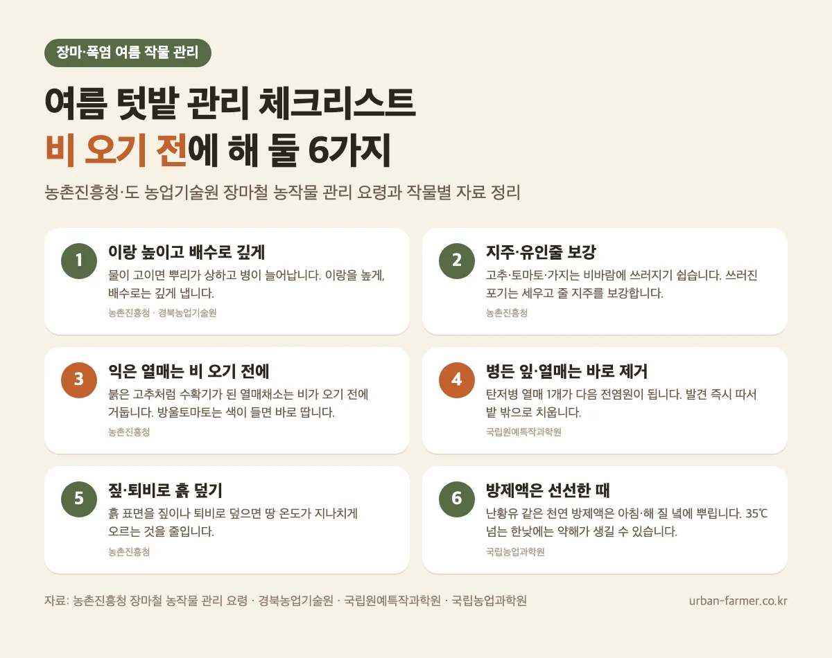 여름 텃밭 장마·폭염 관리 여름 텃밭 장마 폭염 관리 체크리스트 - 이랑 배수로, 지주 보강, 수확, 병든 열매 제거