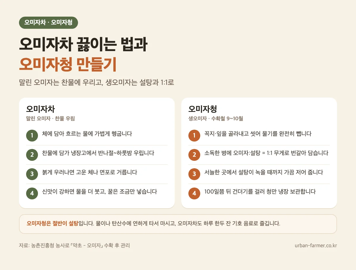 오미자차 끓이는 법 찬물 우림 4단계와 오미자청 만들기 오미자 설탕 1:1 4단계