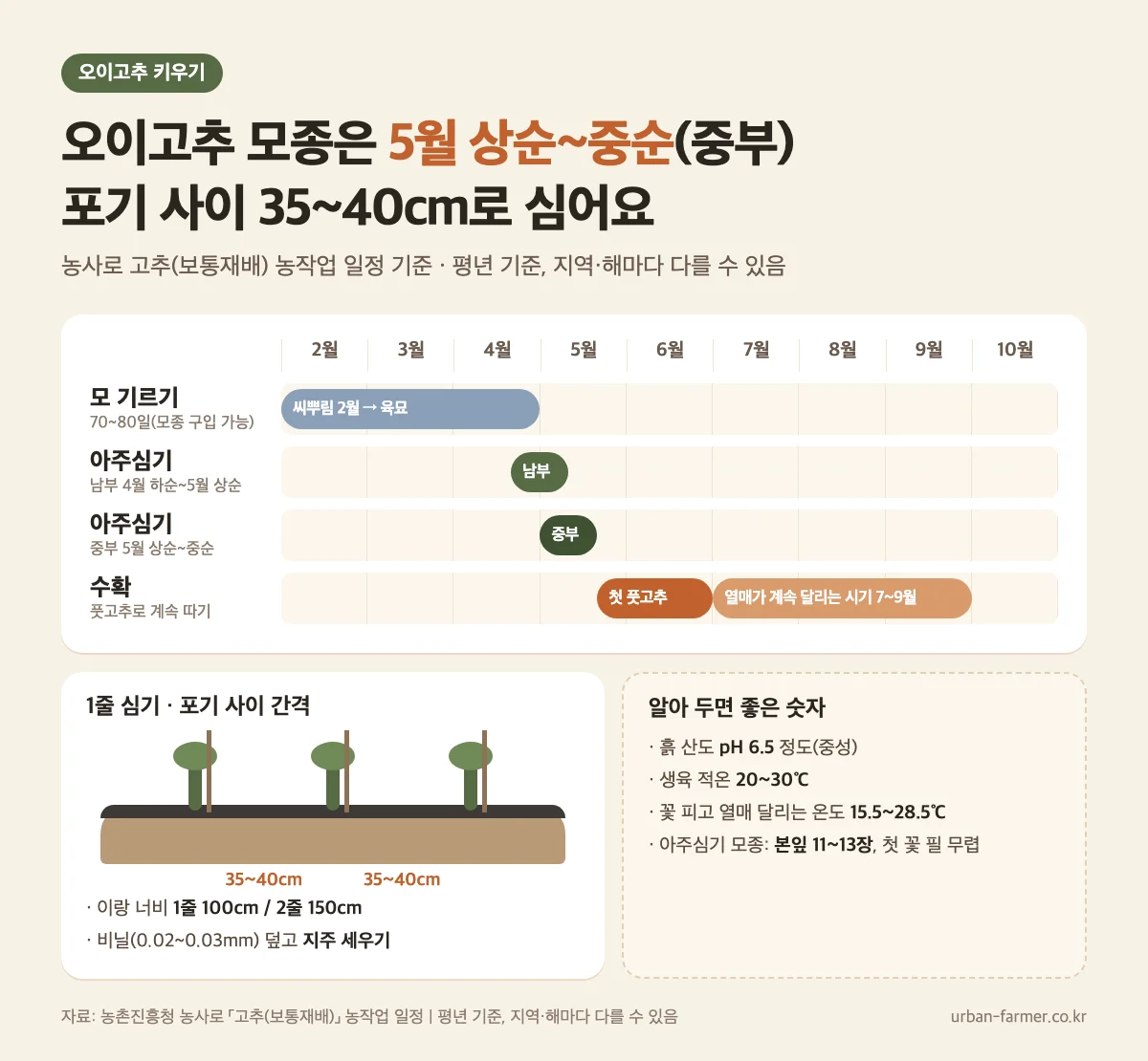 오이고추 키우기 - 모종 심는 시기 남부 4월 하순~5월 상순, 중부 5월 상순~중순, 포기 사이 35~40cm