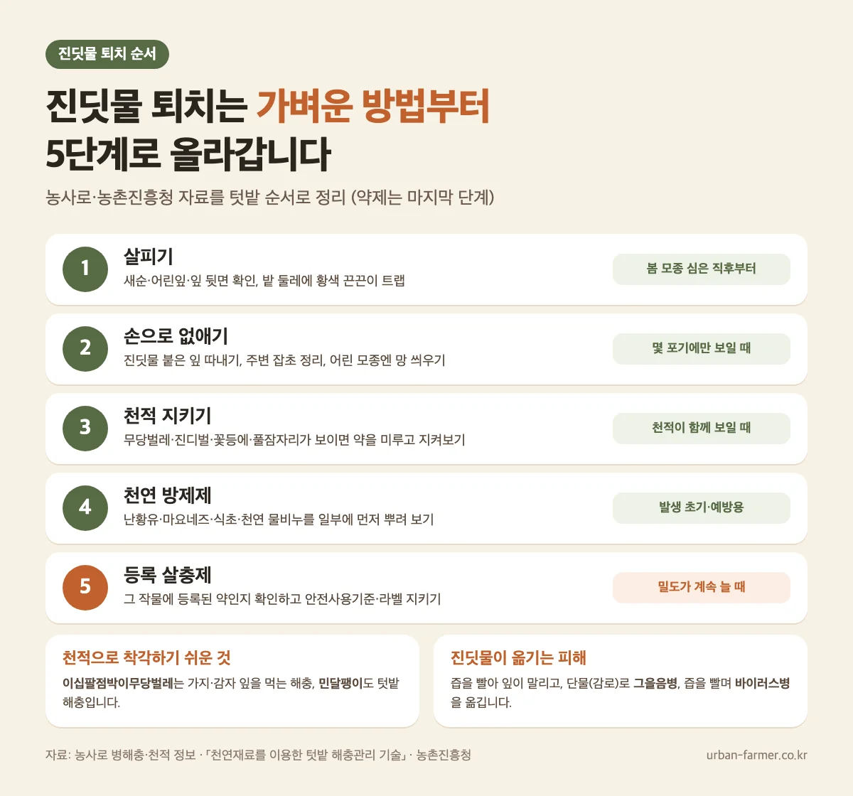 진딧물 퇴치 5단계 진딧물 퇴치 방법 5단계 - 살피기, 손으로 없애기, 천적 지키기, 천연 방제제, 등록 살충제
