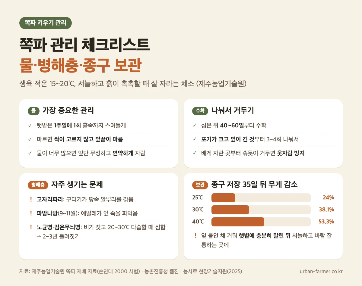 쪽파 키우기 관리 체크리스트 - 물 주기, 수확, 병해충, 종구 저장 온도별 감모율