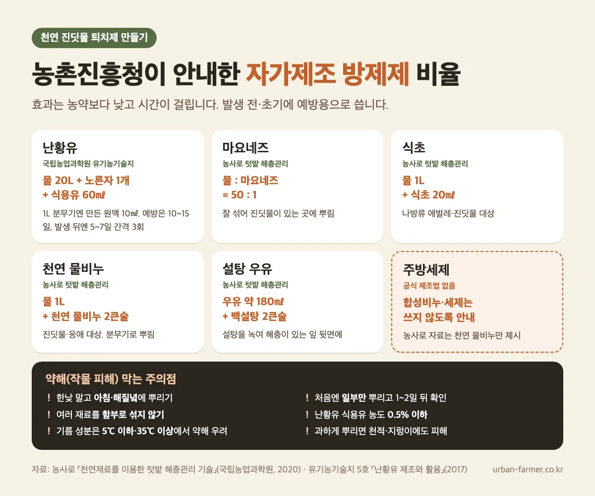 천연 진딧물 퇴치제 비율 천연 진딧물 퇴치제 만들기 비율 - 난황유, 마요네즈 50:1, 식초 물 1L에 20ml, 천연 물비누