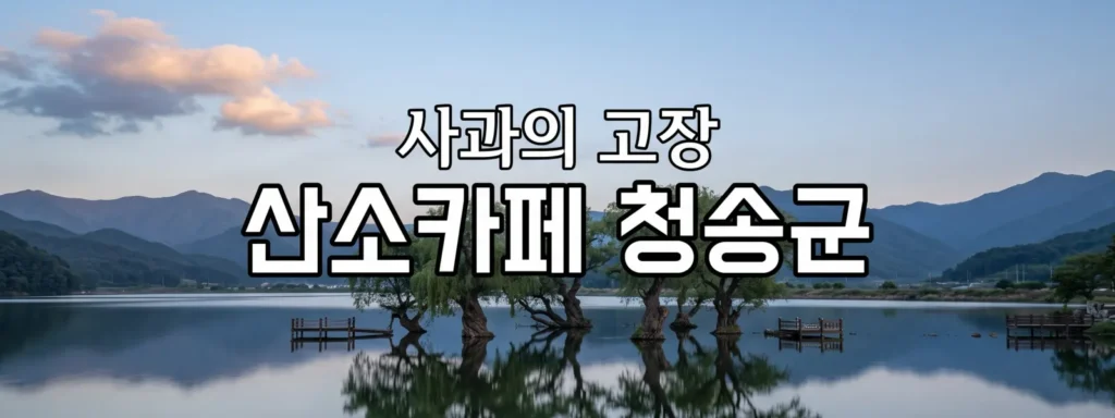 청송군