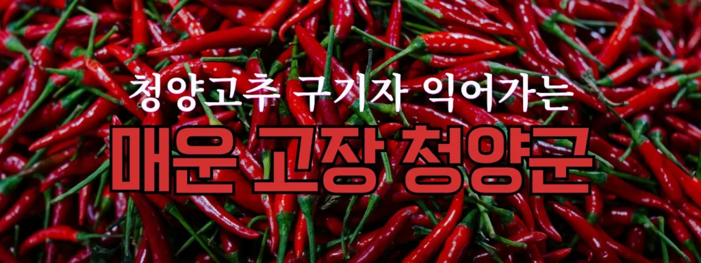 청양군