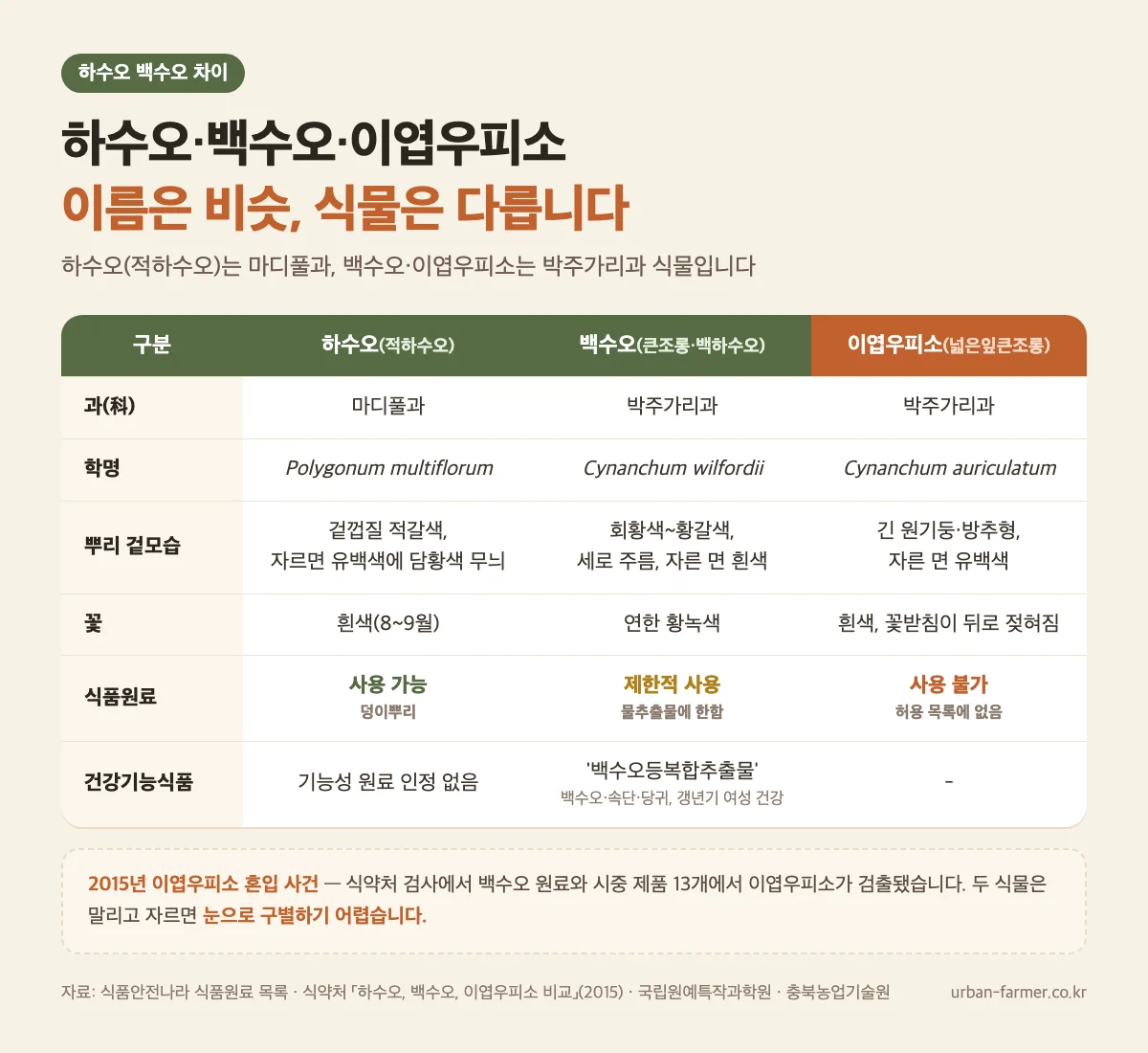 하수오 백수오 이엽우피소 차이 하수오 백수오 이엽우피소 차이 - 과, 학명, 뿌리 모양, 식품원료 사용 가능 여부 비교