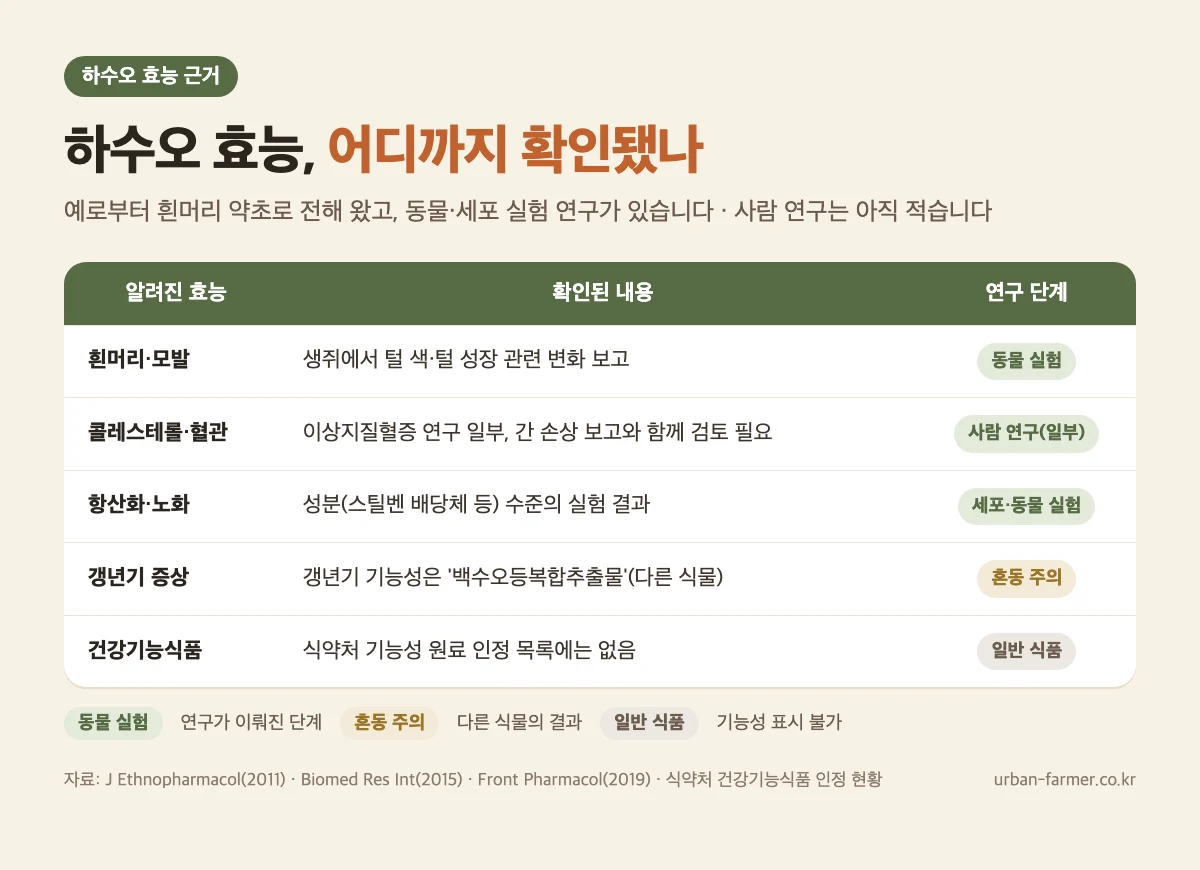 하수오 효능 연구 근거 하수오 효능 연구 근거 수준 - 흰머리 모발, 콜레스테롤, 항산화, 갱년기 연구 종류 정리