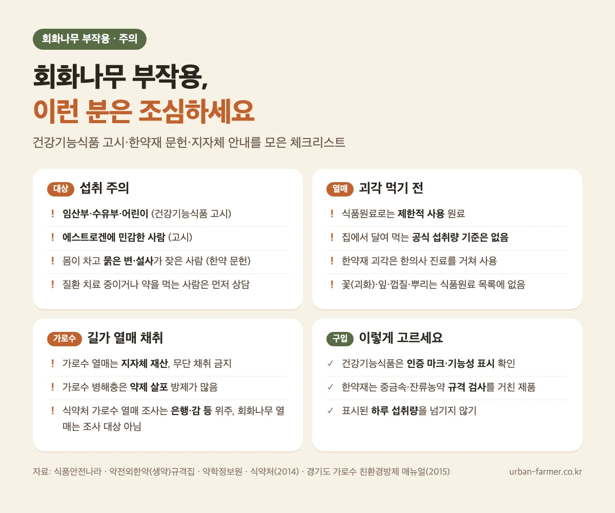 회화나무 부작용 주의 체크리스트 - 임산부·수유부·어린이, 에스트로겐 민감, 설사, 가로수 열매 채취 주의
