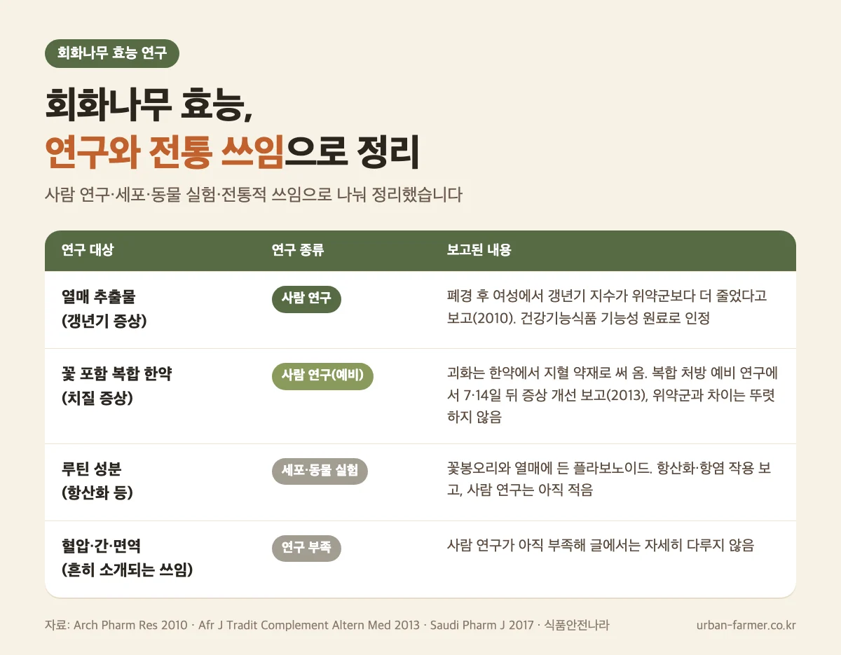 회화나무 효능 연구 단계 - 열매 추출물 갱년기 사람 연구, 괴화 처방 치질 예비 연구, 루틴 세포·동물 실험