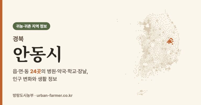 세종시