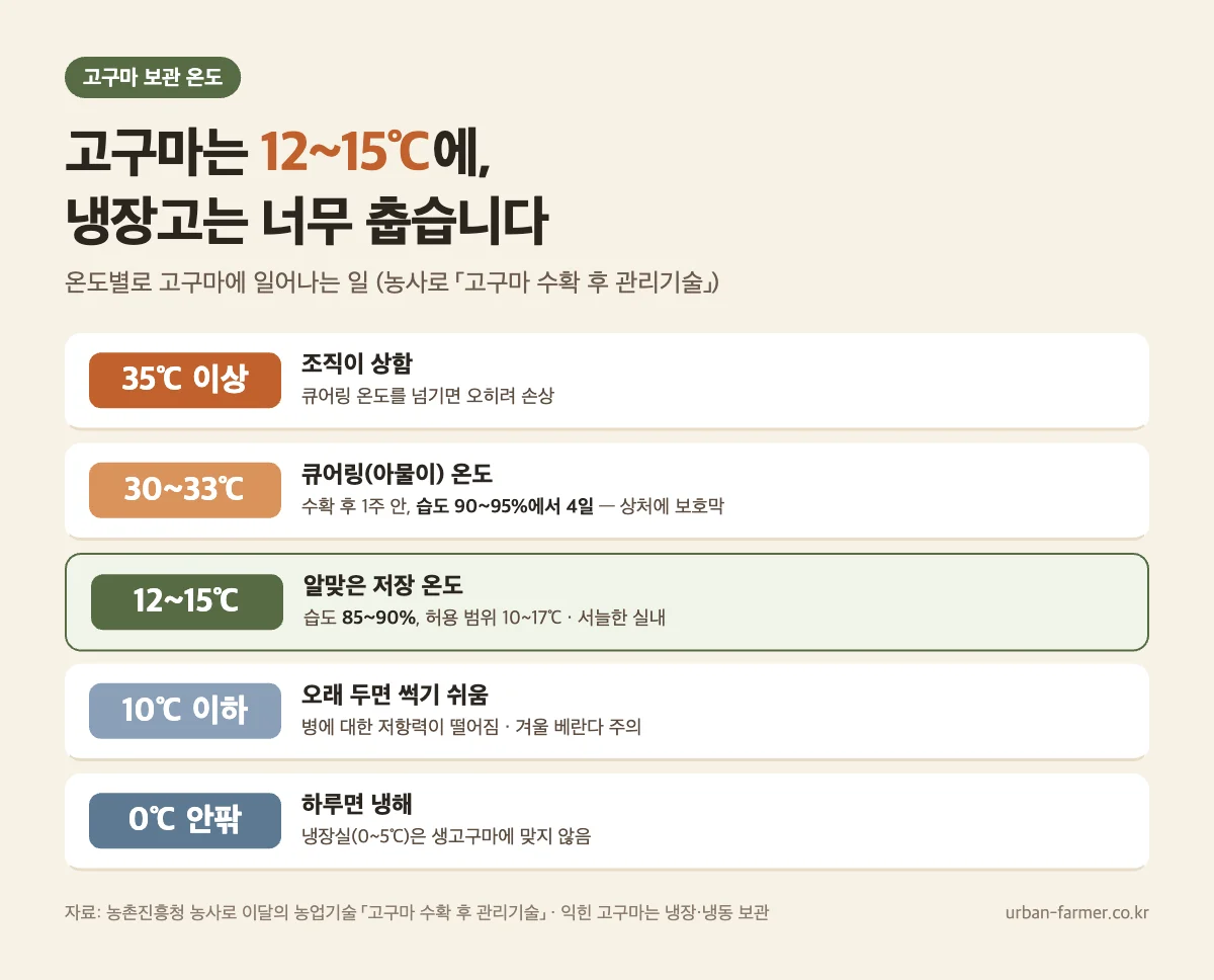 고구마 보관 온도 - 저장 12~15℃ 습도 85~90%, 큐어링 30~33℃, 10℃ 이하 오래 두면 썩기 쉬움, 0℃ 하루면 냉해
