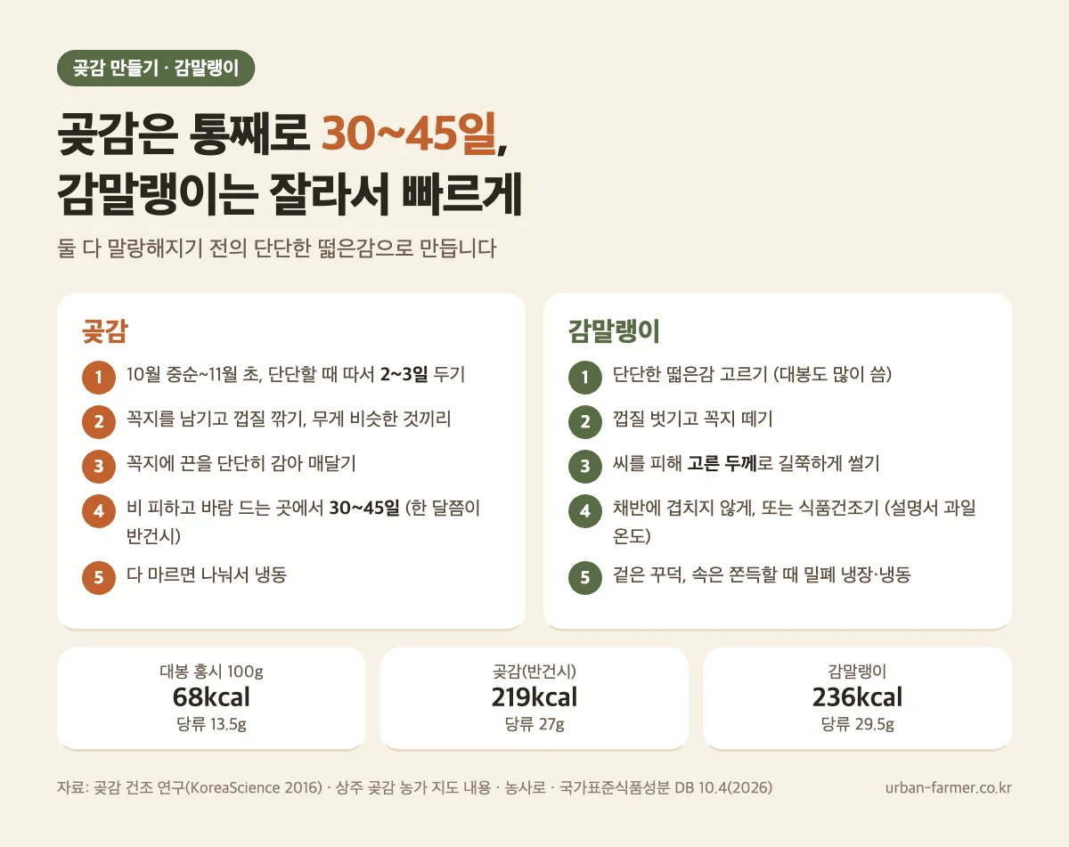 대봉감 곶감 만들기와 감말랭이 만들기 순서 비교 - 곶감 30~45일 건조, 감말랭이 썰어 말리기, 당류 비교