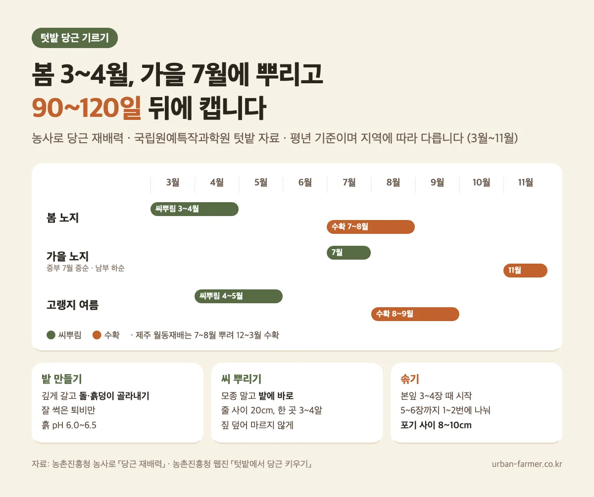 당근 심는시기와 수확 - 봄 3~4월·가을 7월 씨뿌림, 포기 사이 8~10cm 솎기, 파종 후 90~120일 수확