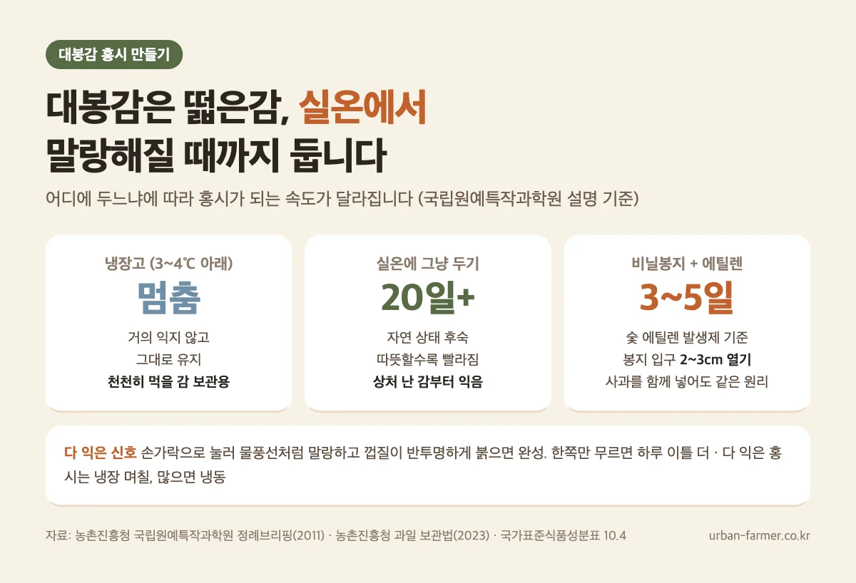 대봉감 홍시 만들기 - 냉장 3~4℃ 아래는 익지 않음, 실온 20일 이상, 비닐봉지와 에틸렌으로 3~5일