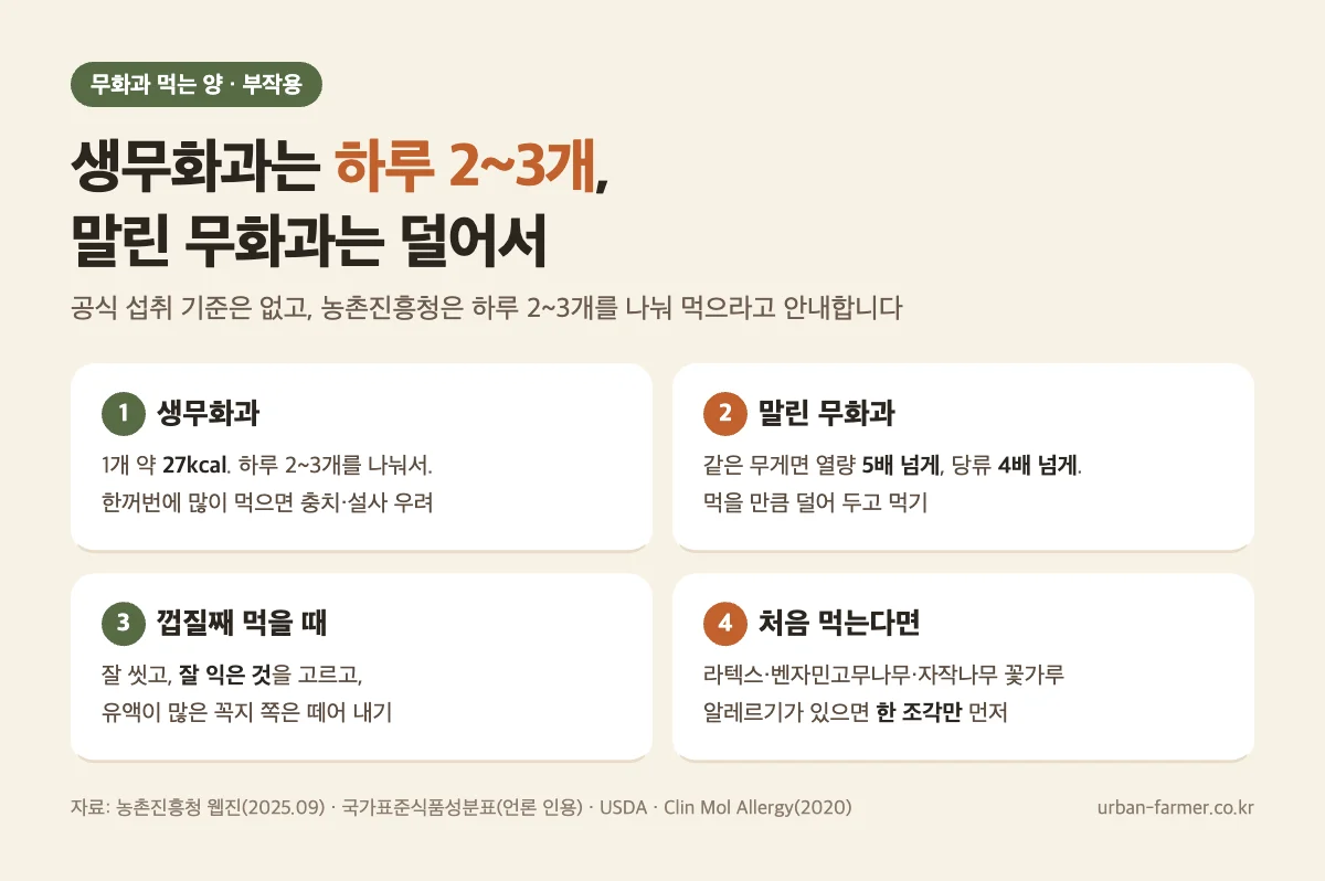 무화과 하루 먹는 양과 주의점 무화과 효능과 하루 섭취량 - 생무화과 하루 2~3개, 말린 무화과는 당 4배 이상, 껍질째 먹을 때 꼭지 떼기, 알레르기 체질 주의