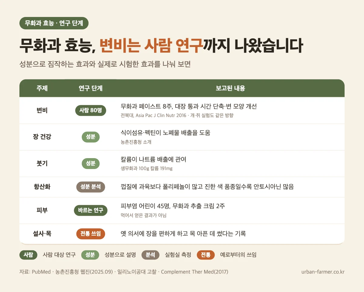 무화과 효능 연구 단계 무화과 효능 연구 단계 - 변비는 사람 80명 8주 연구, 장 건강·붓기는 성분, 피부는 바르는 크림 연구