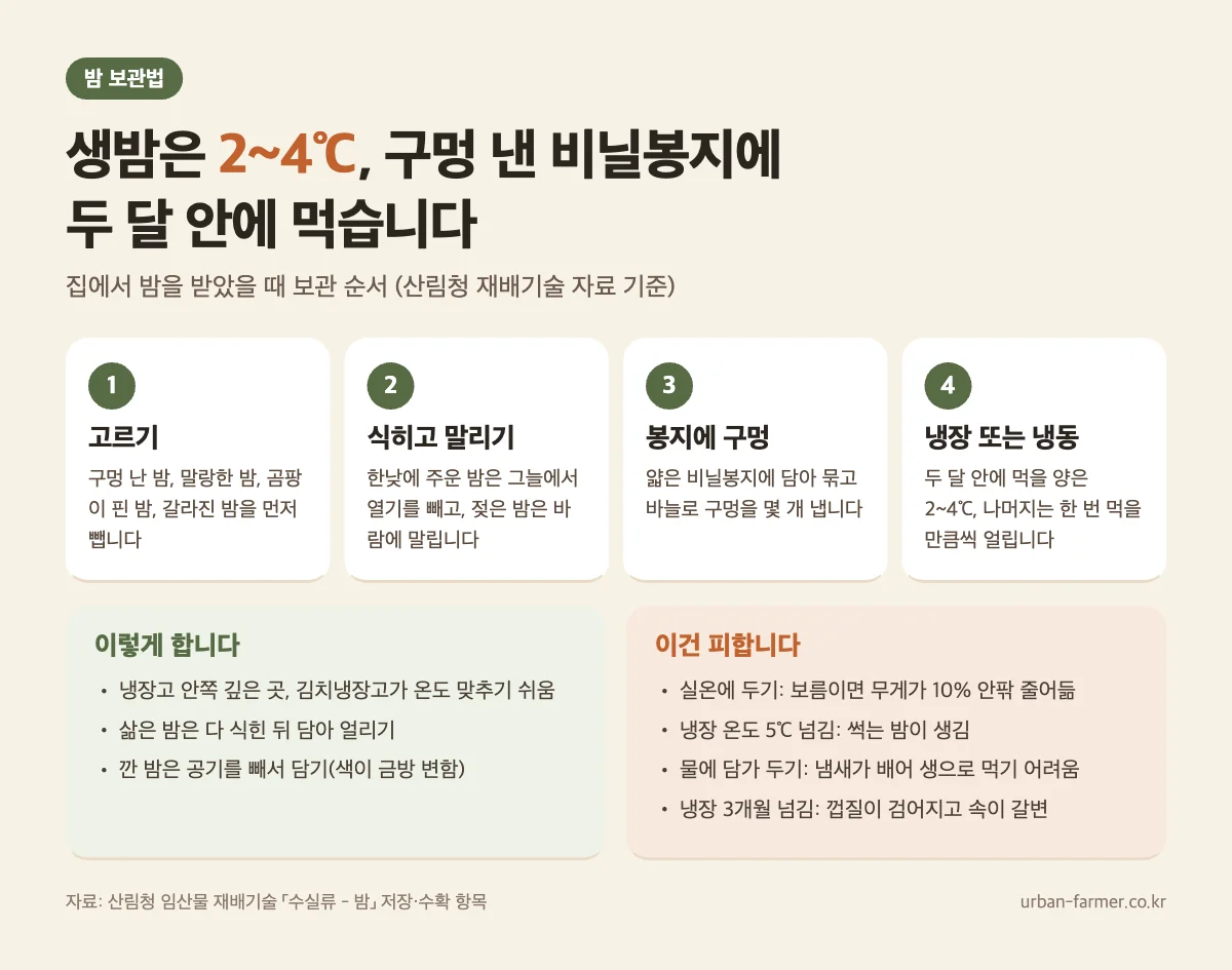 밤 보관법 순서 - 상한 밤 고르기, 식히고 말리기, 구멍 낸 비닐봉지, 2~4℃ 냉장 두 달 또는 냉동, 실온·물에 담가 두기는 피함