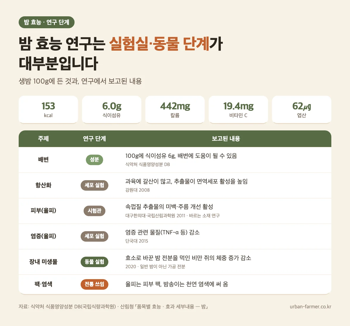 밤 효능 연구 단계 - 생밤 100g 153kcal 식이섬유 6g 칼륨 442mg 비타민C 19.4mg, 율피 추출물 시험관 연구, 밤 전분 동물 실험
