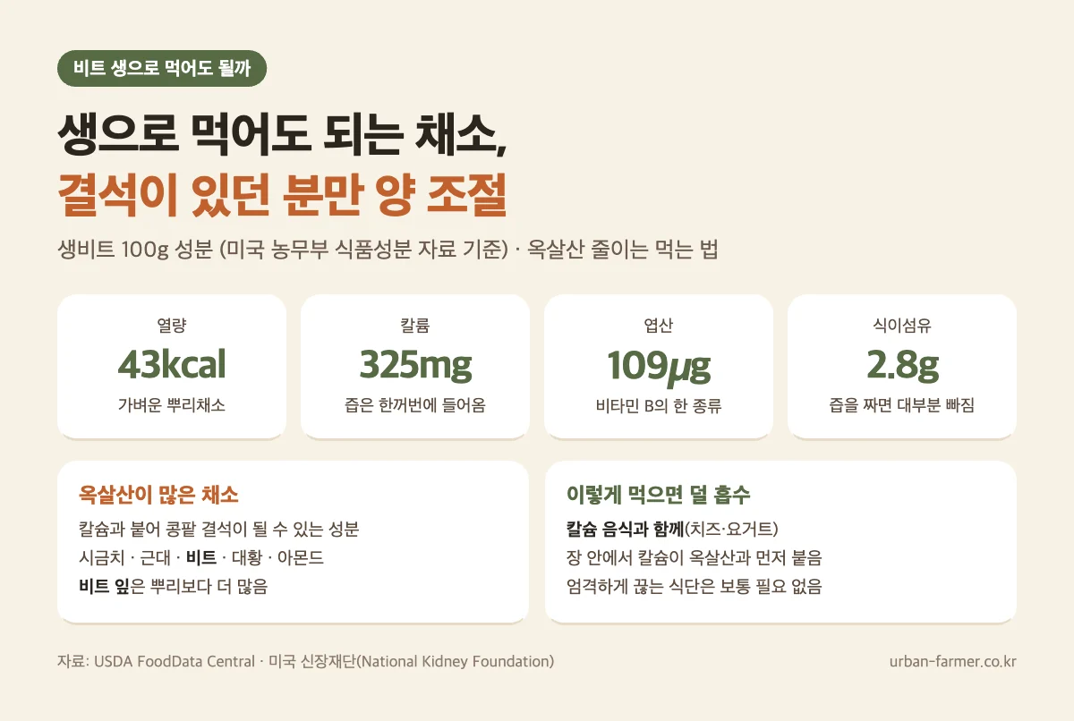 비트 효능과 생으로 먹기 - 생비트 100g 43kcal 칼륨 325mg 엽산 109µg 식이섬유 2.8g, 옥살산은 칼슘 음식과 함께