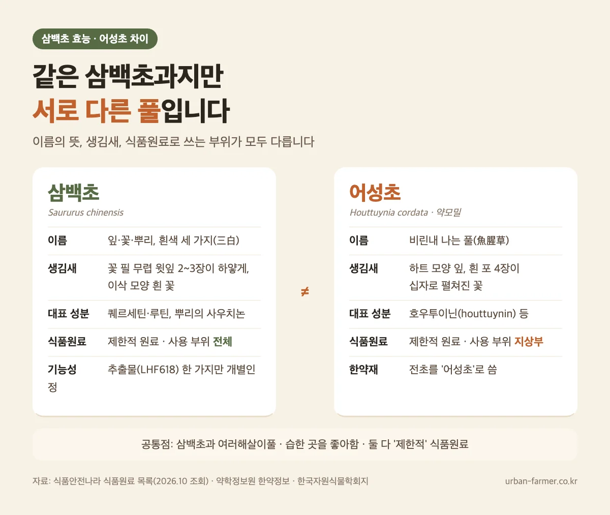 삼백초 효능 어성초 차이 - 삼백초는 흰색 세 가지·사용 부위 전체, 어성초(약모밀)는 하트 모양 잎·사용 부위 지상부, 둘 다 제한적 식품원료