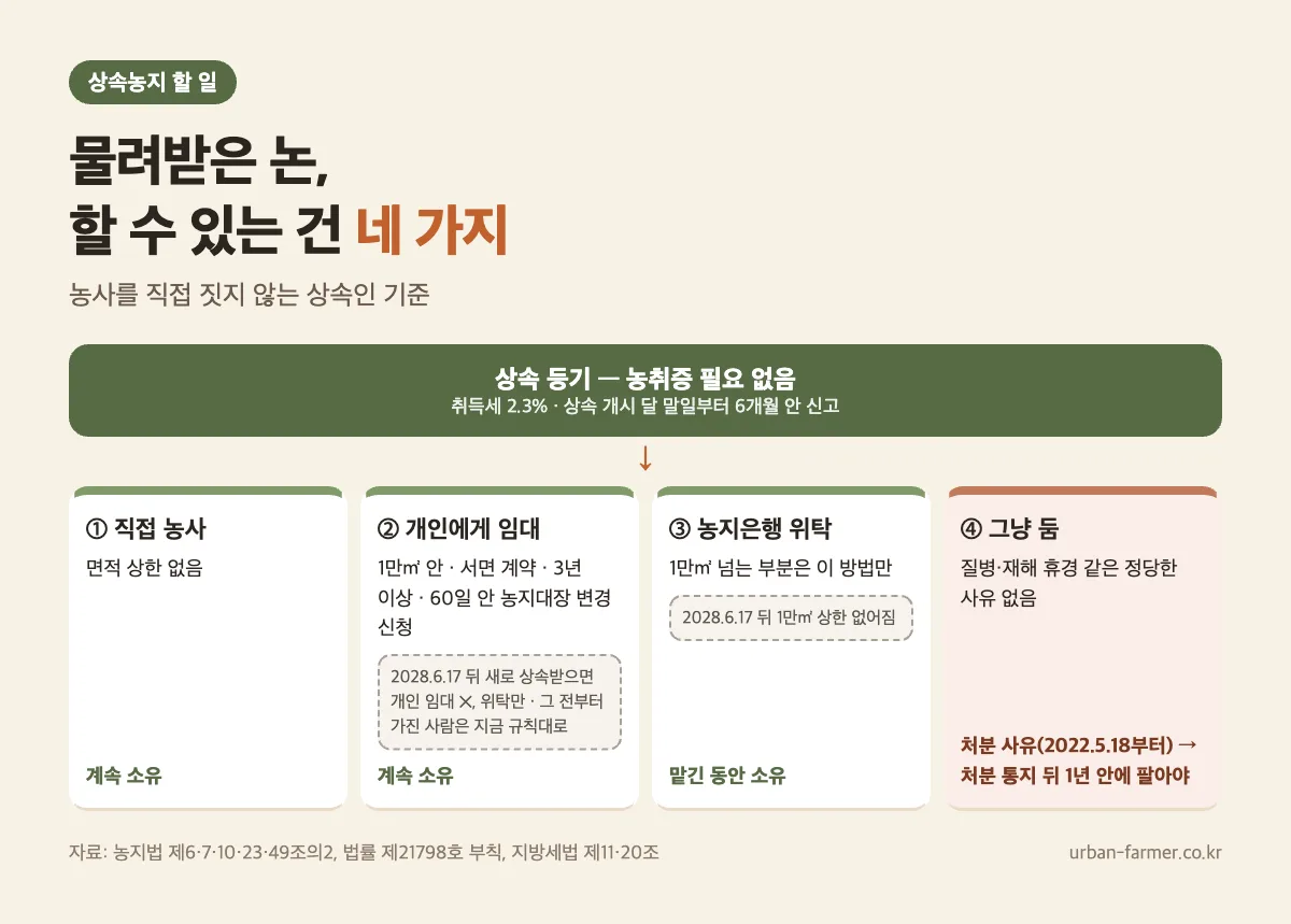 상속농지 물려받은 뒤 네 갈래 — 직접 농사, 1만㎡ 안 개인 임대, 농지은행 위탁, 놀리면 처분 통지까지와 2028년 6월 17일 뒤 바뀌는 점