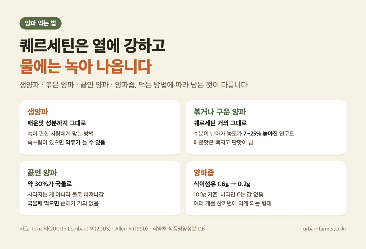 양파 효능 먹는 법 - 생양파·볶은 양파·끓인 양파·양파즙 차이, 끓이면 퀘르세틴 약 30%가 국물로