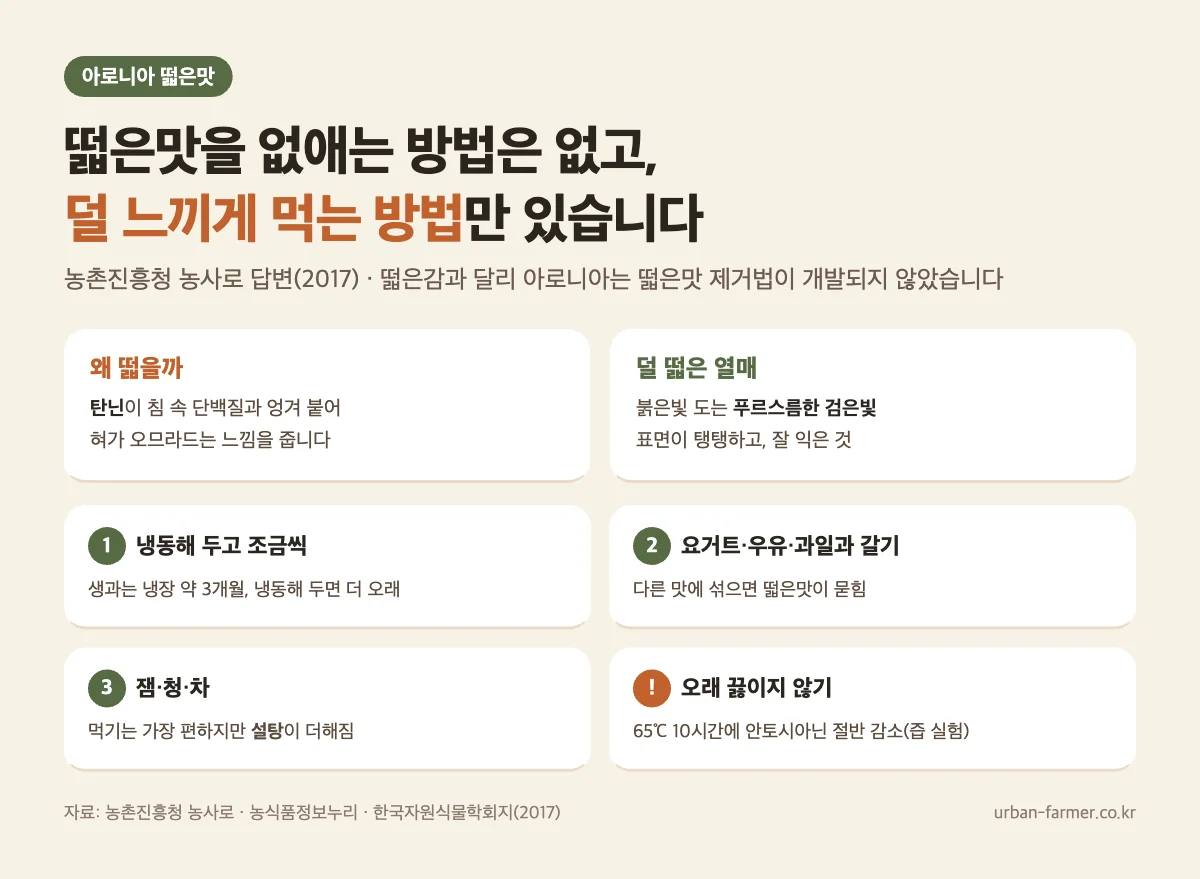 아로니아 떫은맛과 먹는 법 아로니아 효능 먹는 법 - 떫은맛은 탄닌 때문, 제거법은 없고 냉동·요거트·잼으로 덜 느끼게 먹기, 오래 끓이면 안토시아닌 감소